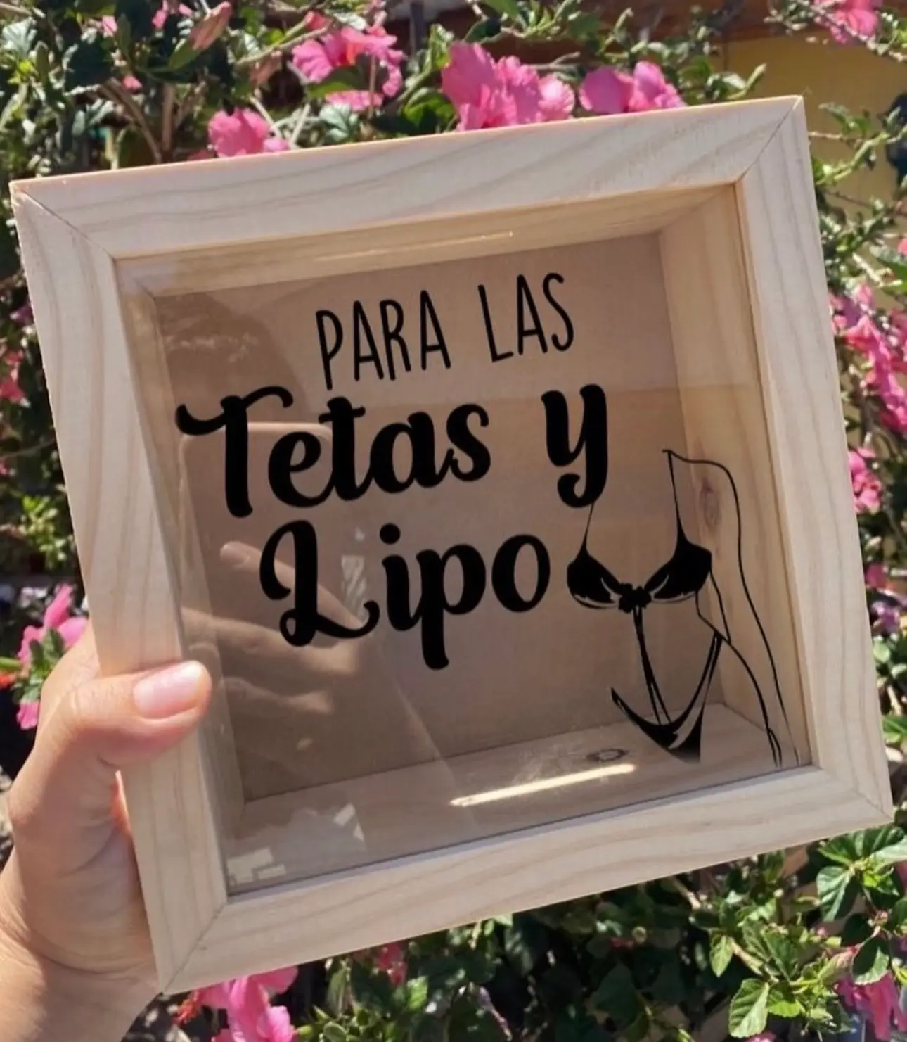 Alcancía “Para las tetas y lipo”