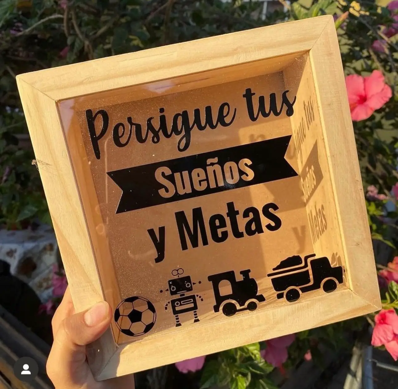 Alcancía “Persigue tus sueños y metas”