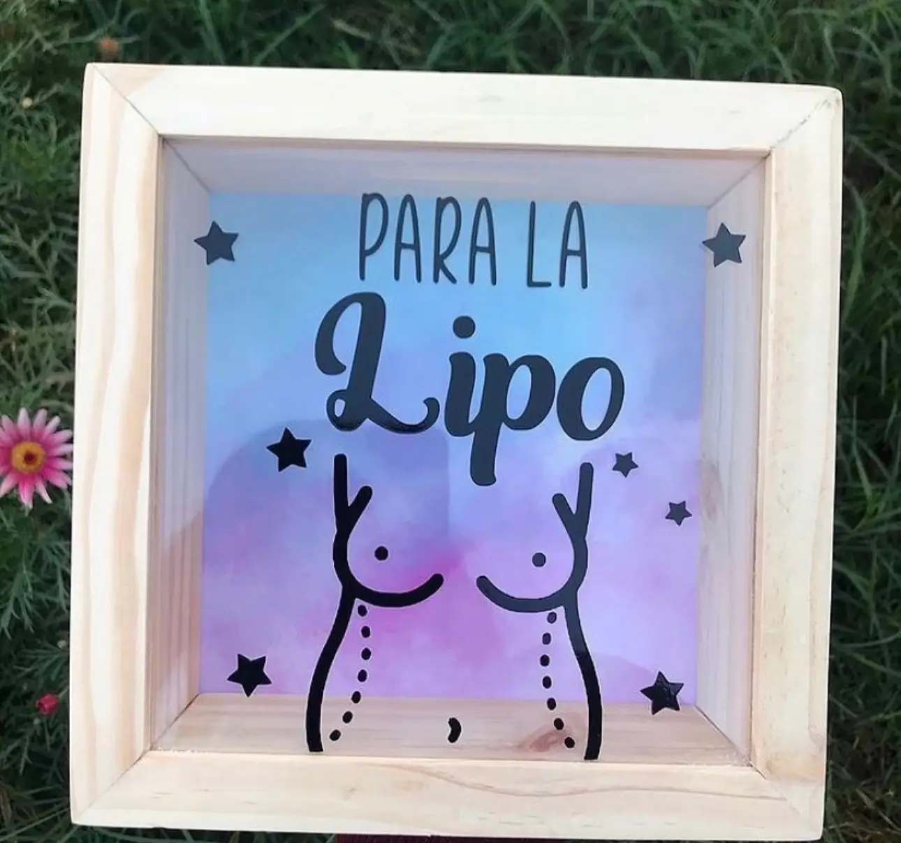 Alcancía “Para la lipo”