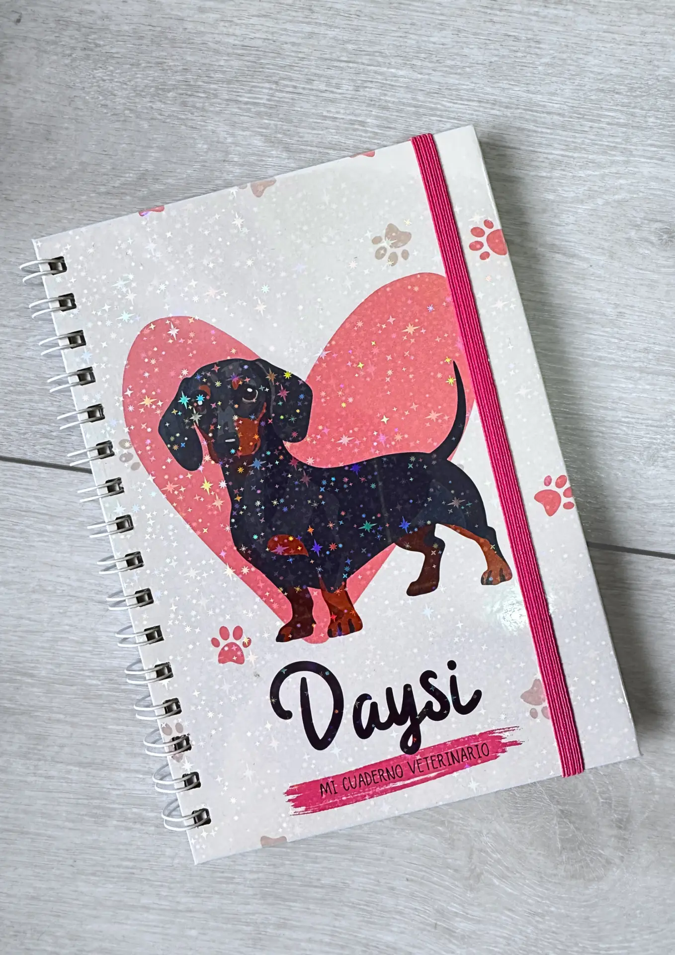 Cuaderno Veterinario